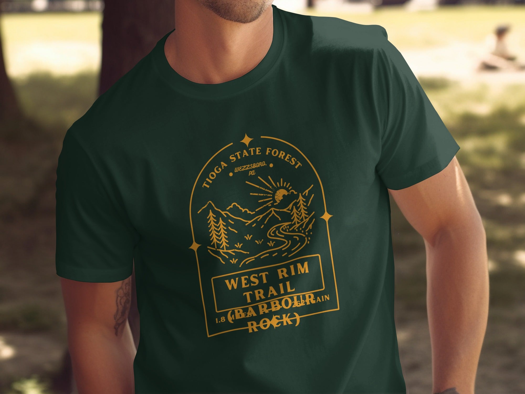 Tioga State Forest West Rim Trail Barbour Rock T-Shirt